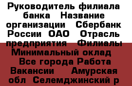 Руководитель филиала банка › Название организации ­ Сбербанк России, ОАО › Отрасль предприятия ­ Филиалы › Минимальный оклад ­ 1 - Все города Работа » Вакансии   . Амурская обл.,Селемджинский р-н